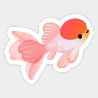 Cherry blossom goldfish 2 Sticker